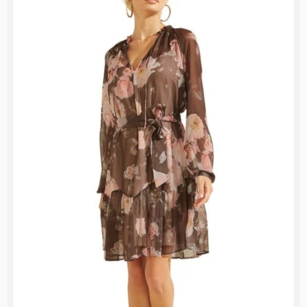 Floral Sheer Long Sleeve Dress